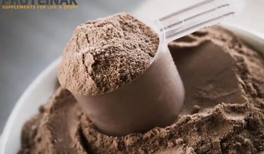 protein in whey protein in Jordan, the ultimate guide 