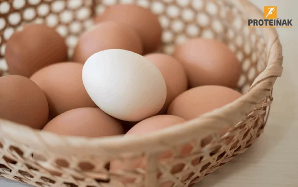 l-carnitine transports fatty acids into mitochondria carnitine shuttle Benefits of eggs: As one of the pillars of your healthy diet