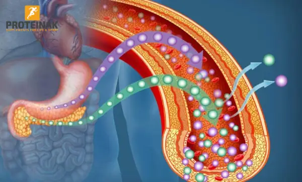 رؤية شاملة لحساسية الأنسولين: الأعراض وطرق العلاج