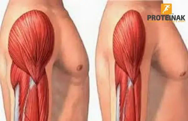أعراض فقدان الكتلة العضلية وكيف تواجهها لتعزيز نمو العضلات
