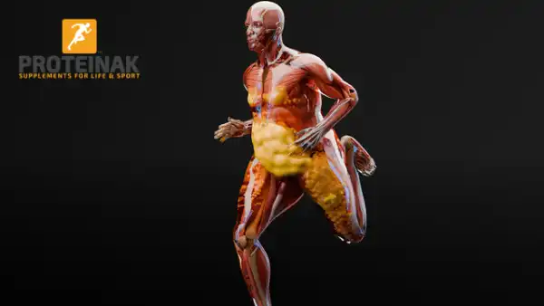 متى تظهر نتائج حرق الدهون؟ و7 أكلات تحرق الدهون بسرعة